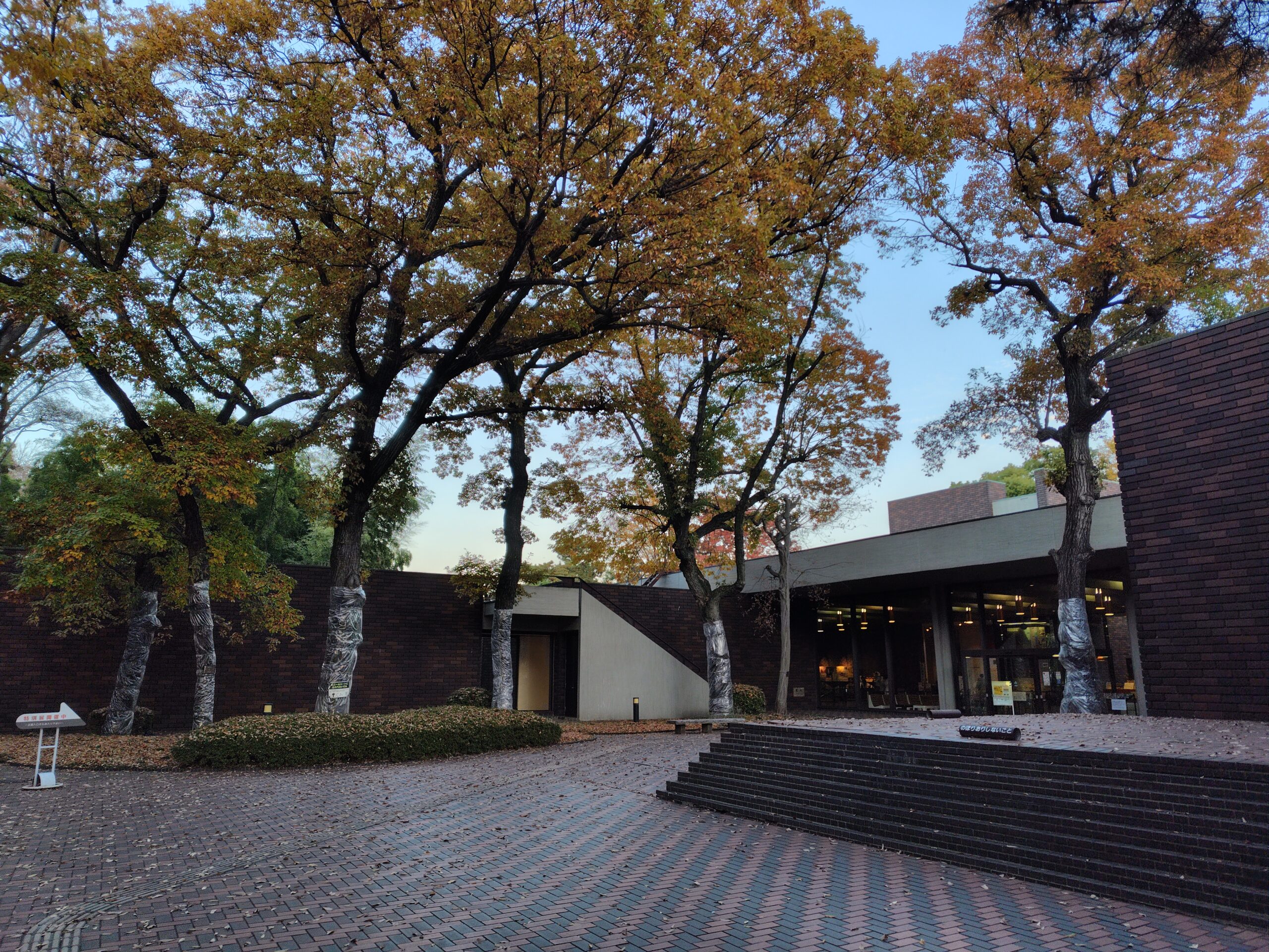 埼玉県立歴史と民俗の博物館（秋）