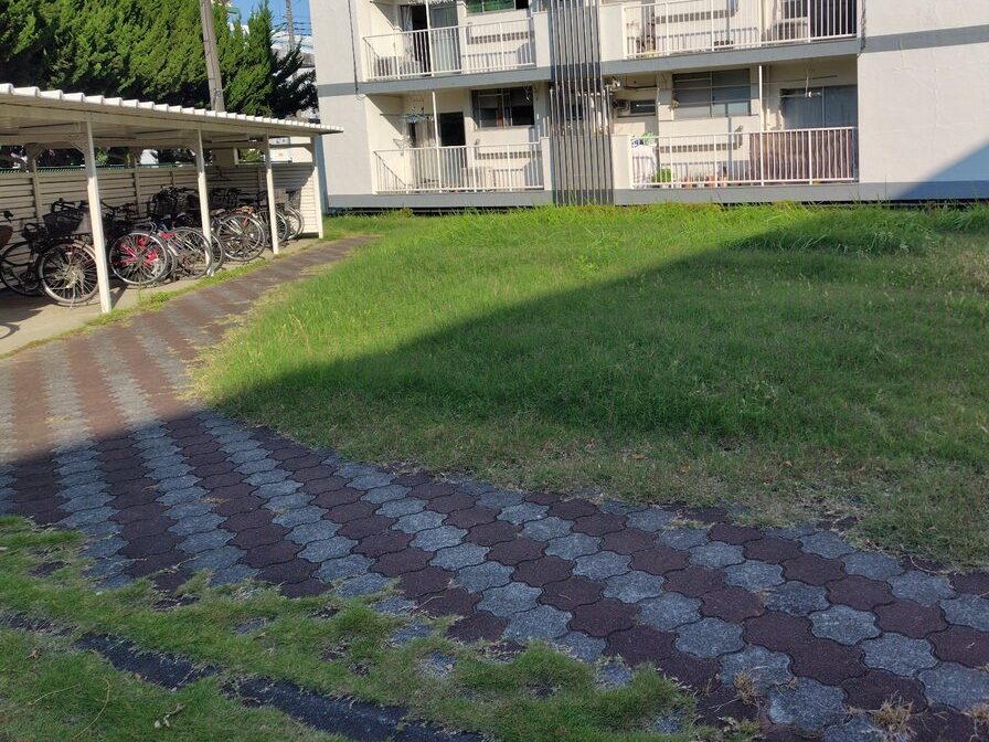 草刈り作業前