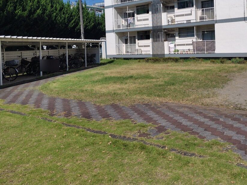 草刈り後の写真